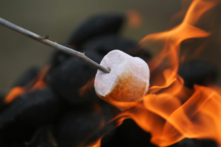 marshmallow-roasted