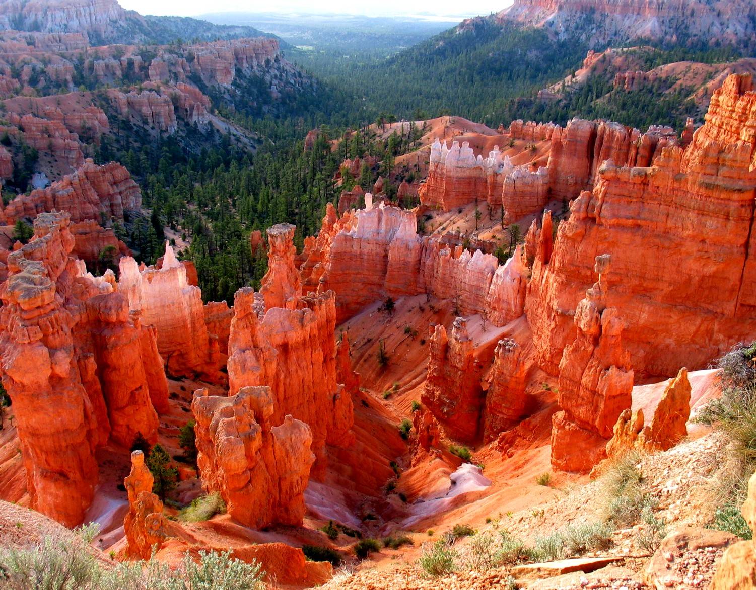 The Beauty of Utah: Explore the National Parks - Wilstar.com