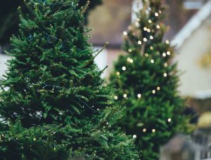 tree with ornaments