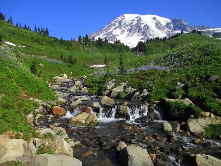 1024px-Mount_Rainier_from_above_Myrtle_Falls_in_August