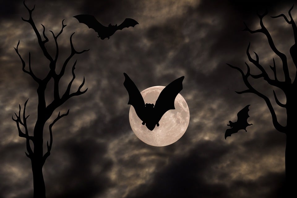 Halloween Weird Facts - Wilstar