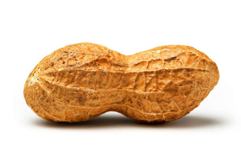 national-peanut-day